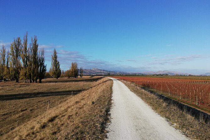 Coast to Country Winery Cycle Tour - The Sum Up