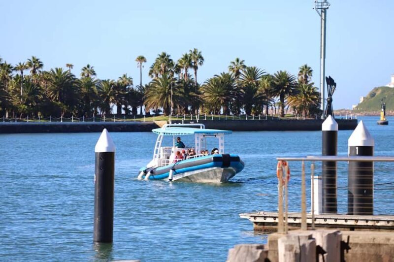 Coastal 2.5-hour Adventure Boat Tour from Newcastle - Key Points