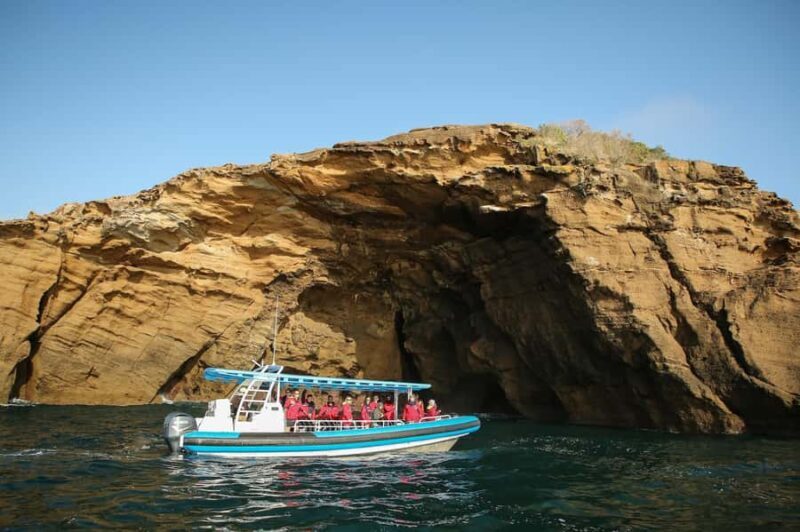 Coastal 2.5-hour Adventure Boat Tour from Newcastle - Scenic Highlights and Landmarks