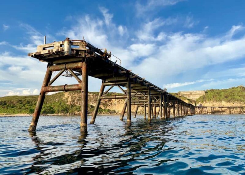 Coastal 2.5-hour Adventure Boat Tour from Newcastle - Marine Life and Wildlife