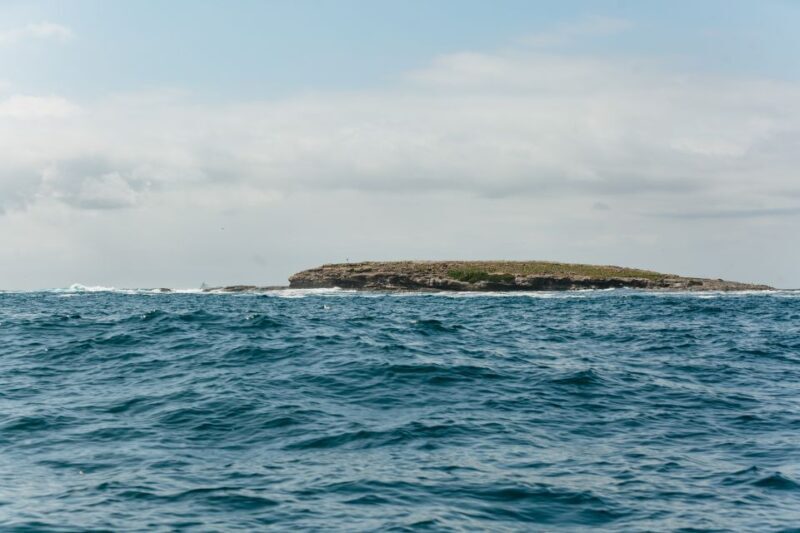 Coastal 2.5-hour Adventure Boat Tour from Newcastle - The Guide and Overall Experience