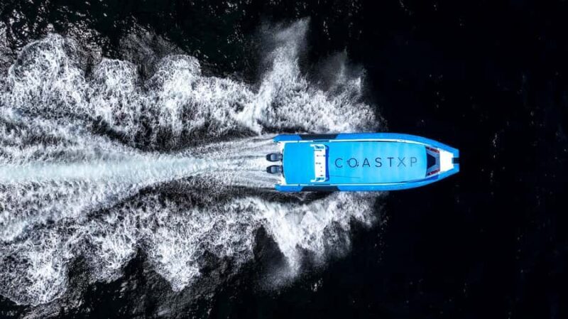 Coastal 2.5-hour Adventure Boat Tour from Newcastle - Value and Pricing