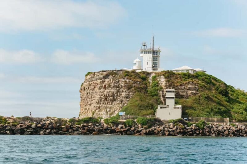 Coastal 2.5-hour Adventure Boat Tour from Newcastle - Practical Tips for Travelers