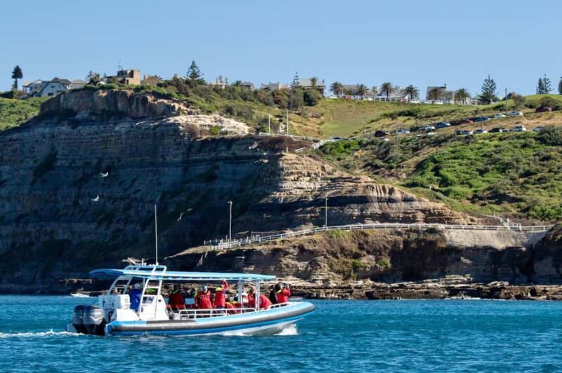 Coastal 2.5-hour Adventure Boat Tour from Newcastle - The Sum Up
