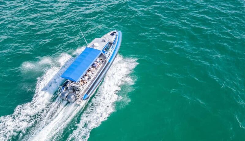 Coastal Boat Tour from Lake Macquarie - Key Points