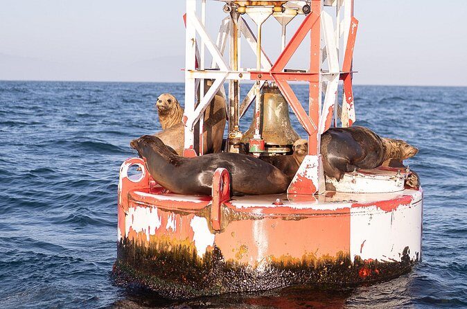 Coastal Cruise on Yacht in Santa Barbara - FAQ