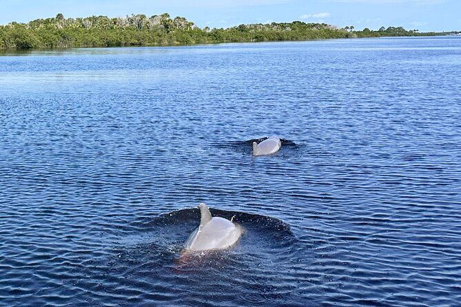Coastal Discovery Cruise - Key Points