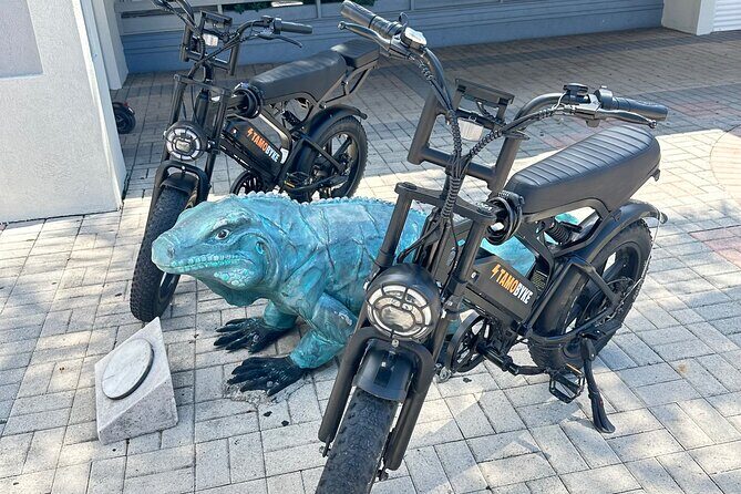 Coastal E-Bike Adventure: Full-Day Self-Guided Tour Grand Cayman - Key Points