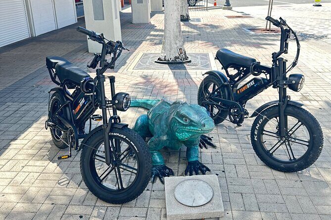 Coastal E-Bike Adventure: Full-Day Self-Guided Tour Grand Cayman - Practical Aspects and What to Expect