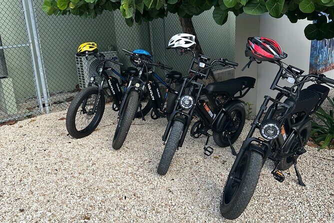 Coastal E-Bike Adventure: Full-Day Self-Guided Tour Grand Cayman - Who Would Enjoy This Tour?