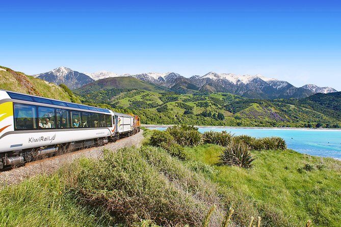 Coastal Pacific Train Journey from Picton to Christchurch - A Closer Look at the Journey