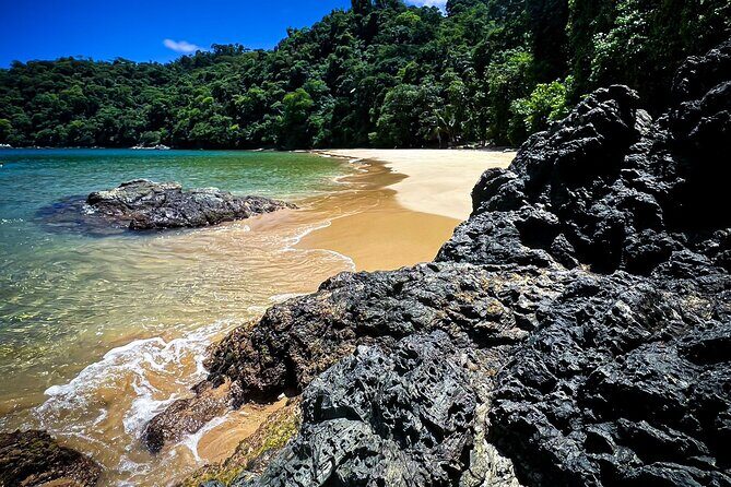 Coastline Snorkel and BBQ - Coastline Snorkel and BBQ: An Adventurous Taste of Tobago’s Marine Life and Local Flavors