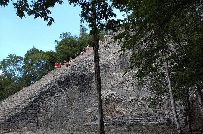 Coba Cenote and Maya Village Private Guided Tour - Why This Tour Is a Great Fit