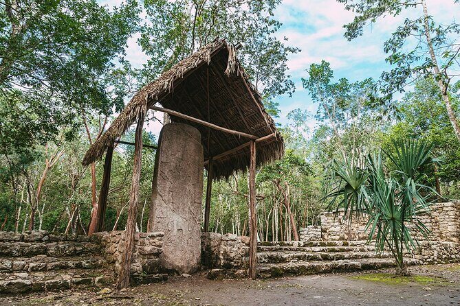 Coba & Mayan Cenote tour with lunch from Cancun and Riviera Maya - The Sum Up
