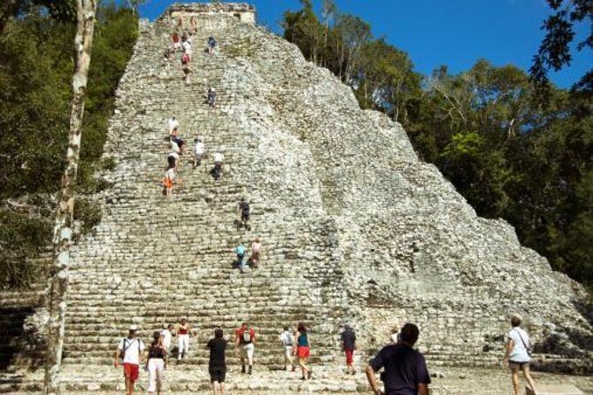 Coba Private half day Tour including swimming in a Cenote - Key Points
