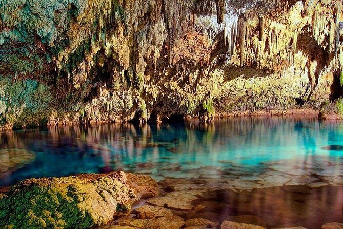 Coba Ruins Cenote and Mayan Village - Tasting Regional Cuisine