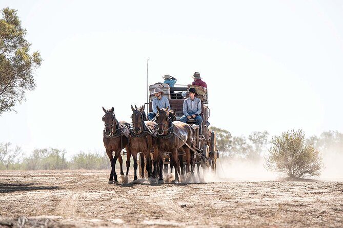 Cobb & Co Stagecoach Experience in Longreach - The Experiences Strengths and Considerations