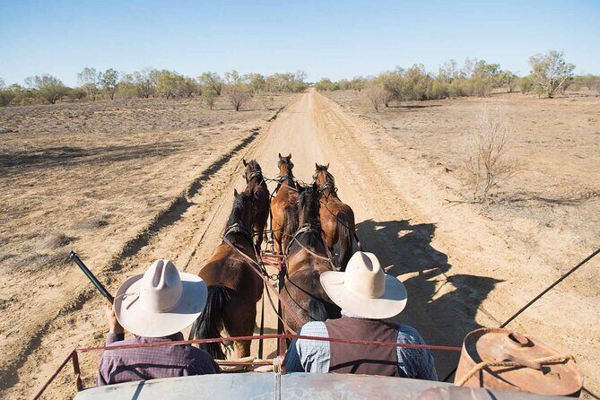 Cobb & Co Stagecoach Experience in Longreach - Who Is This Tour For?