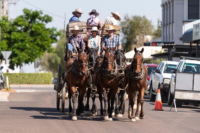Cobb & Co Stagecoach Experience in Longreach - The Sum Up