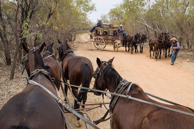 Cobb & Co Stagecoach Experience in Longreach - FAQs