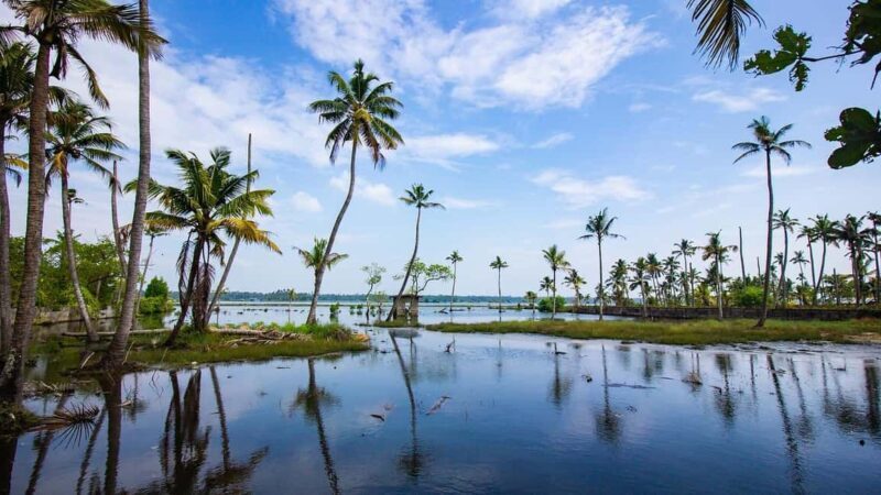 Cochin: 5-Day Kerala Tour with Houseboat and Wildlife - Who Should Consider This Tour?