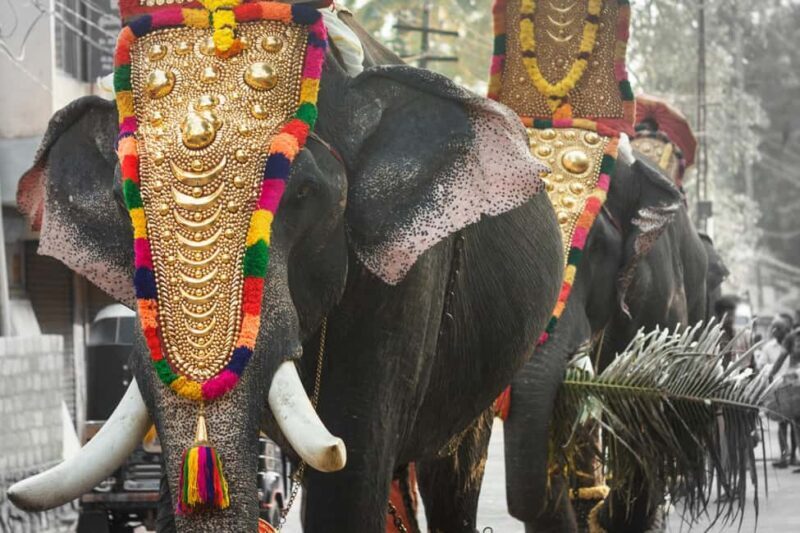 Cochin: 5-Day Munnar, Thekkady, and Alleppey Tour - Key Points
