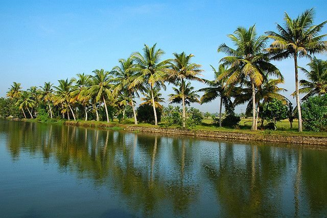 Cochin : Alleppey/Alappuzha Backwater Canoe (Shikara) Cruise - What Do the Reviews Tell Us?