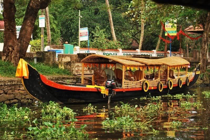 Cochin : Alleppey/Alappuzha Backwater Canoe (Shikara) Cruise - Practical Details and Tips for Travelers