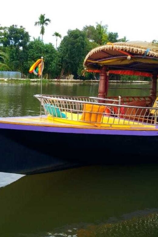 Cochin : Alleppey/Alappuzha Backwater Canoe (Shikara) Cruise - Why This Tour Is a Great Choice