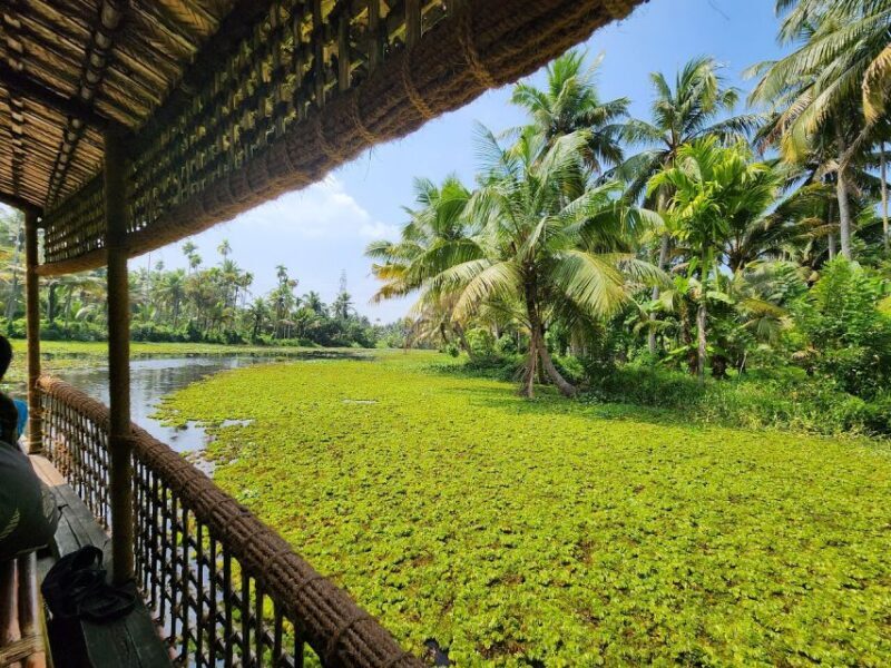 Cochin: Half-Day Backwater Village Eco Boat Cruise W/ Lunch - Who is This Tour Best For?