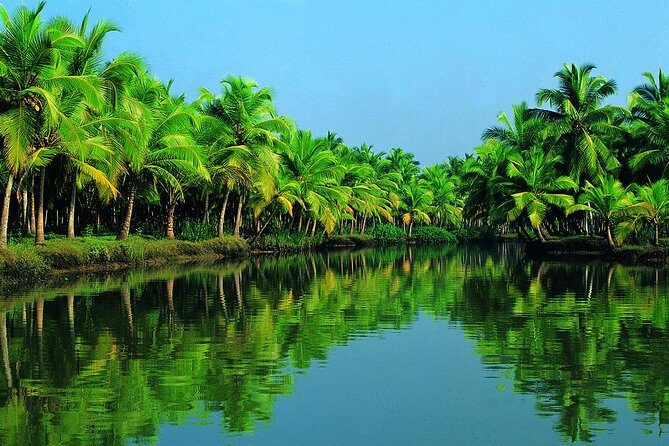 Cochin Shore Excursion: Backwater Houseboat Tour and Chinese Nets - Key Points