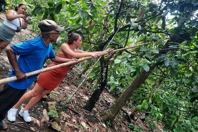 Cocoa & Artisan Chocolate Route with an Historical Tour in Puerto Plata City - Key Points