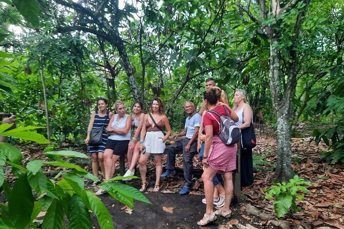 Cocoa & Artisan Chocolate Route with an Historical Tour in Puerto Plata City - Transportation, Timing, and Overall Value