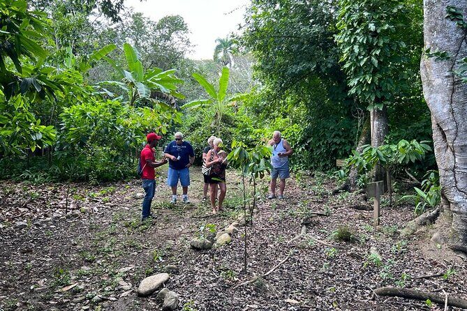 Cocoa & Artisan Chocolate Route with an Historical Tour in Puerto Plata City - FAQs