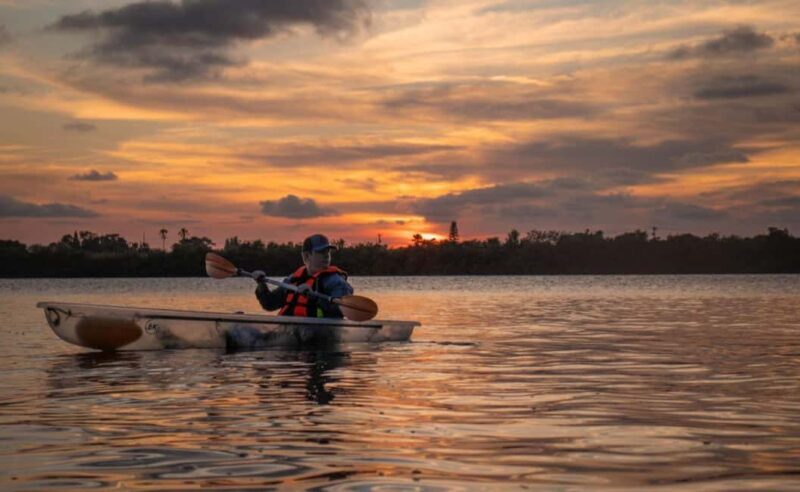 Cocoa Beach: Clear Kayak Sunset & Bioluminescence Tour - Practical Details and Tips