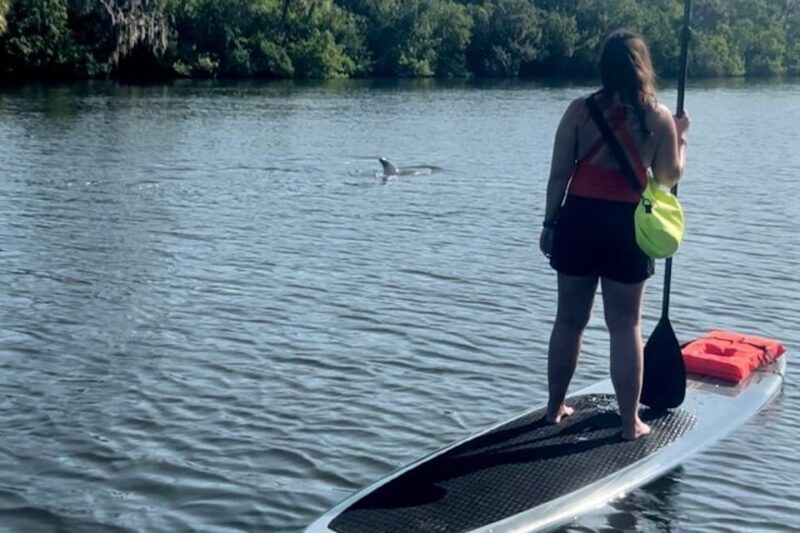 Cocoa Beach: Dolphin and Manatee Kayak or Paddle Tour - Final Thoughts