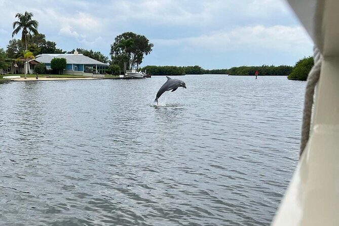 Cocoa Beach Dolphin Tours on the Banana River - Final Thoughts: Is This Tour Worth It?
