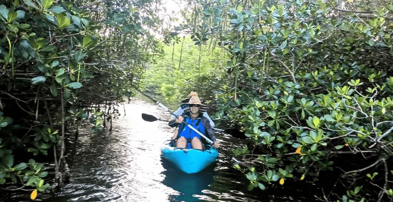 Cocoa Beach/Merritt Island: Guided Dolphin and Manatee Tour - Exploring the Waterways of Floridas Indian River Lagoon