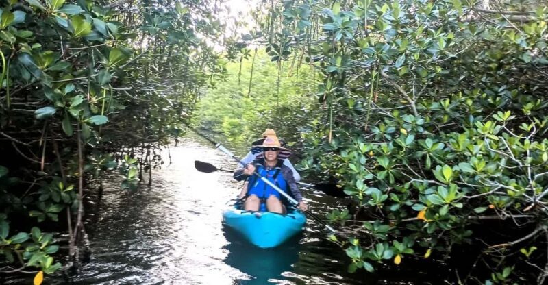 Cocoa Beach/Merritt Island: Guided Dolphin and Manatee Tour - Who Should Consider This Tour?