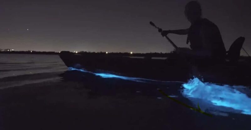 Cocoa Beach/Merritt Island:Bioluminescent kayak tour - The Experience: What to Expect