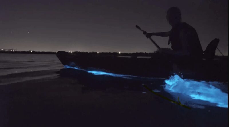 Cocoa Beach/Merritt Island:Bioluminescent kayak tour - The Reviews Say It All