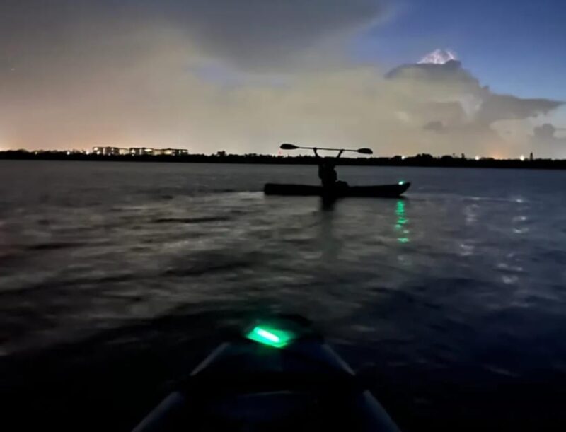 Cocoa Beach/Merritt Island:Bioluminescent kayak tour - The Sum Up
