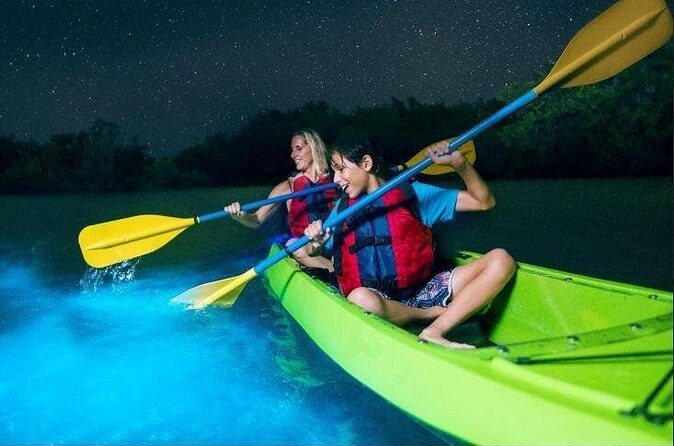 Cocoa Beach Night Time Bioluminescence Kayak Tour - Who Will Love This Tour?