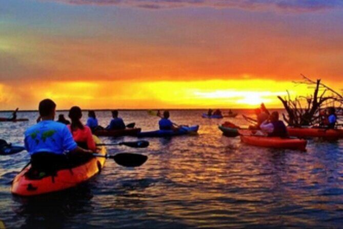 Cocoa Beach Night Time Bioluminescence Kayak Tour - The Sum Up: Is It Worth It?