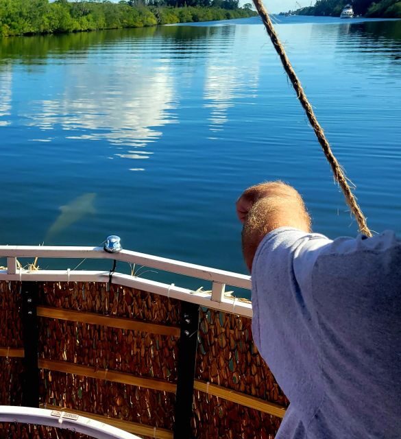 Cocoa Beach: Private 2-Hour Dolphin Sightseeing Tour - An In-Depth Look at the Tour Experience