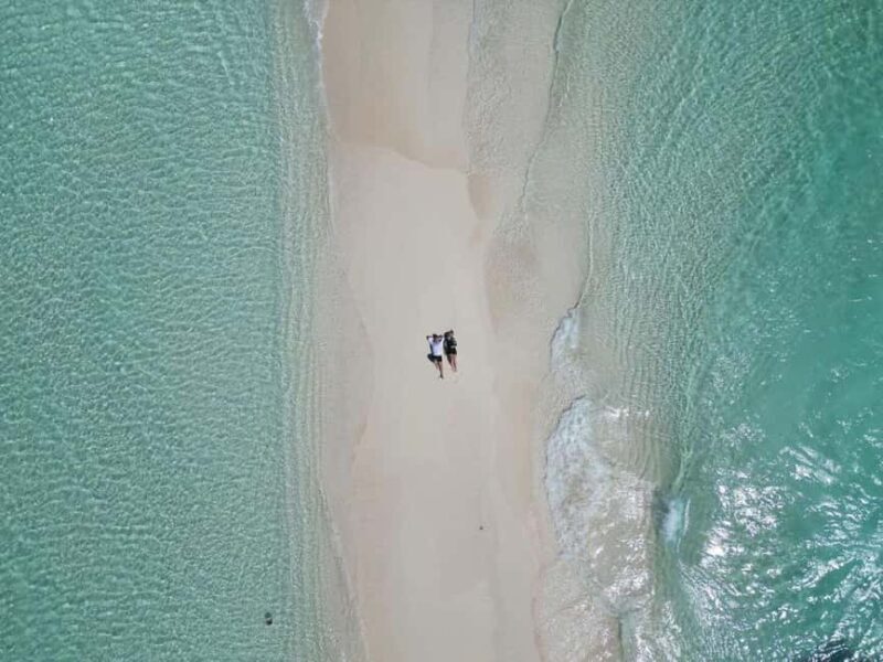 Coffee Ceremony, Organic Lunch Break, Mnemba Snorkeling - The Extras: Surprises, Upgrades, and Personal Touches
