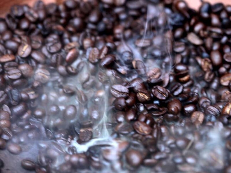Coffee Ceremony Tour, Lunch Break, Mnemba Snorkeling - Key Points