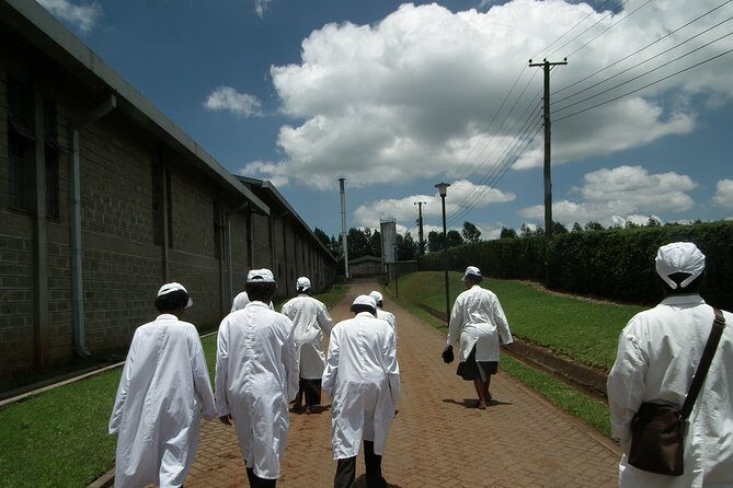 Coffee Farm Half-Day Tour in Kenya - Analyzing the Price and Value