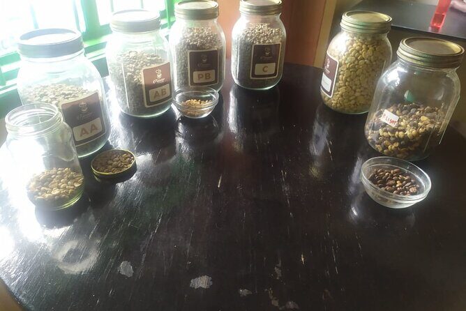 Coffee Farm Half-Day Tour in Kenya - Who This Tour Is Best For