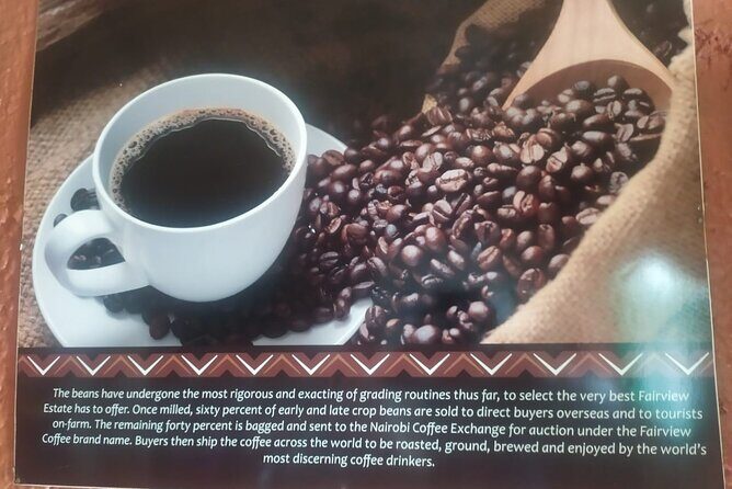 Coffee Farm Half-Day Tour in Kenya - Final Thoughts: Is This Tour Worth It?